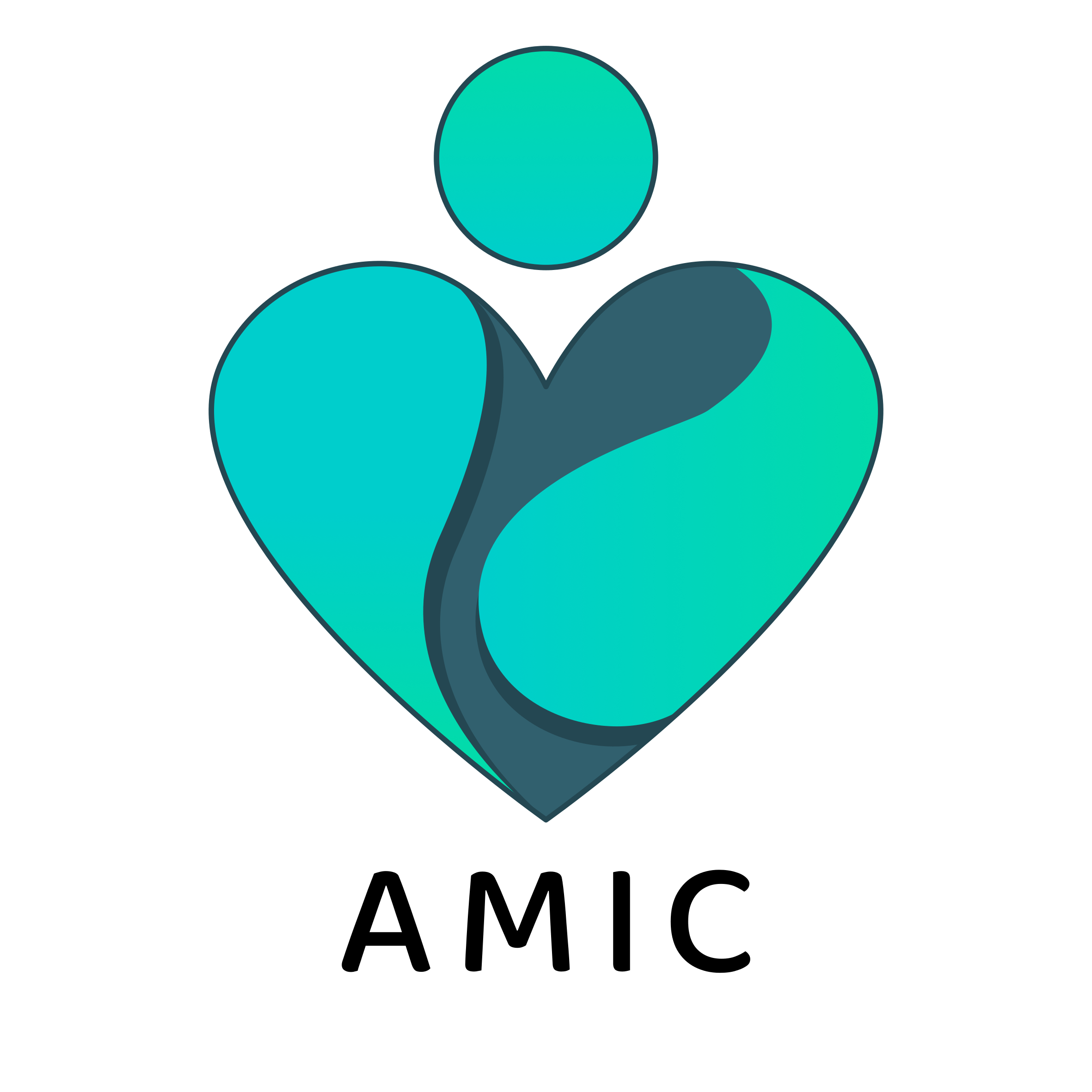 AMIC health